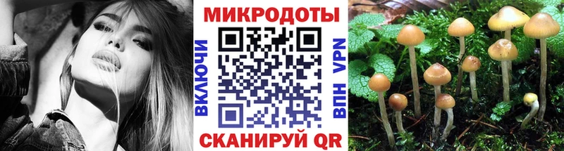 магазин  наркотиков  Томари  Псилоцибиновые грибы MAGIC MUSHROOMS 